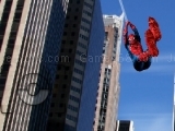 Jeu spiderman photo catch 2