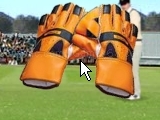 Jeu test catch cricket