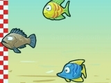 Jeu fish race champions