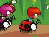 Jeu ladybird racing