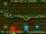 Jeu the forest temple