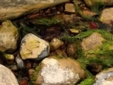 Jeu hidden gemstones