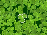 Jeu lucky clover