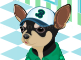 Jeu animal sportsfan dressup