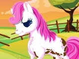 Jeu the cute pony care