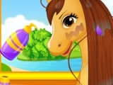 Jeu belles horse caring