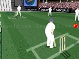 Jeu sabc sport cricket challenge