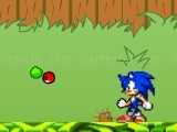 Jeu sonic in garden